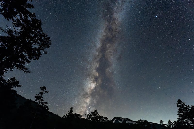 Starry Night Garden